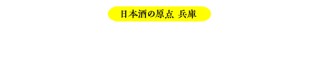 プロモーション映像